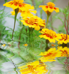 Similar image 381523