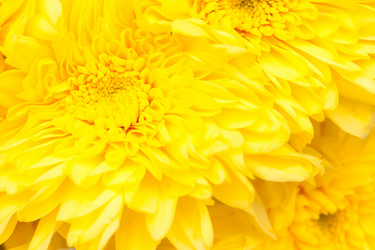 Similar image 381534