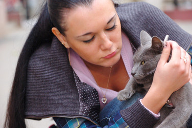 Similar image 381551