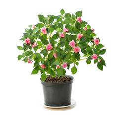 Similar image 381608