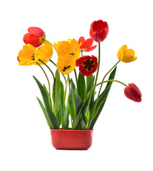 Similar image 381609