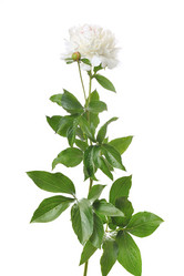 Similar image 381610