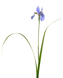 Similar image 381613