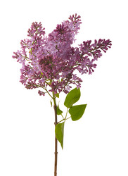 Similar image 381617