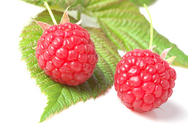 Similar image 381630