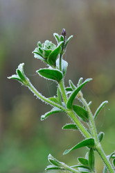 Similar image 381657