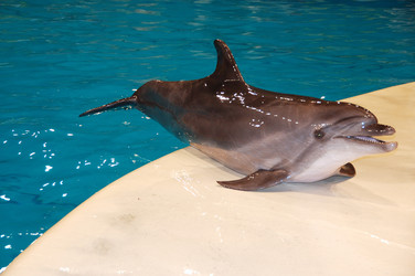 Similar image 381660