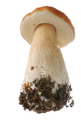 Similar image 381662