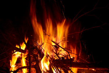 Similar image 381663