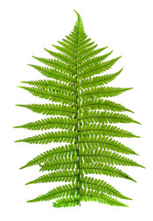 Similar image 381686