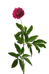 Similar image 381689