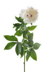 Similar image 381690