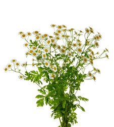 Similar image 381707