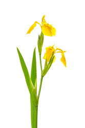 Similar image 381708