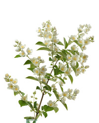 Similar image 381711