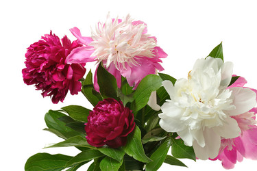 Similar image 381713