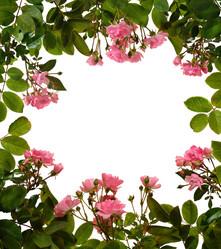 Similar image 381722