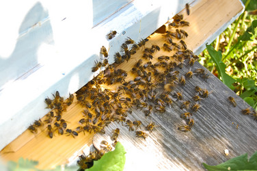 Similar image 381746