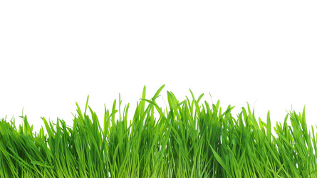 Similar image 381824