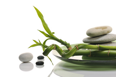 Similar image 381837