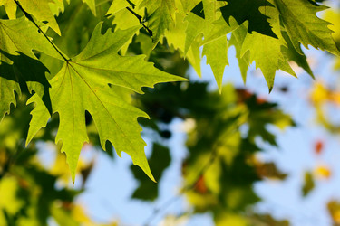 Similar image 381869