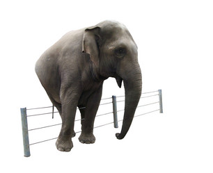 Similar image 382020