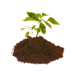 Similar image 382199