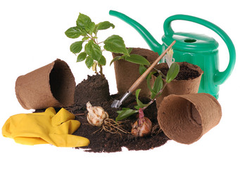 Similar image 382220