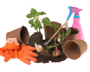 Similar image 382221