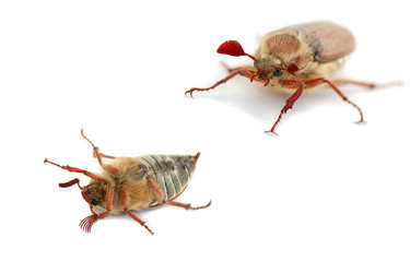 Similar image 382293