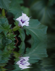 Similar image 382301