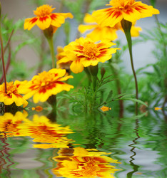 Similar image 382302