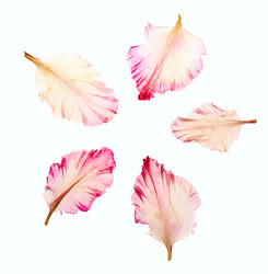 Similar image 382316