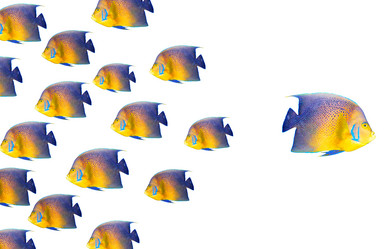 Similar image 382328