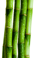 Similar image 382336