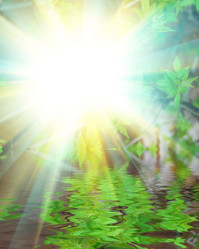 Similar image 382373