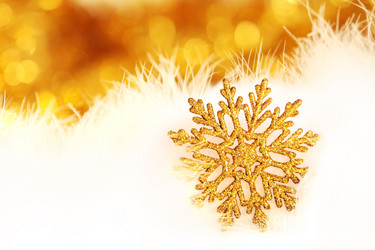 Similar image 382379