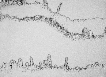 Similar image 382424