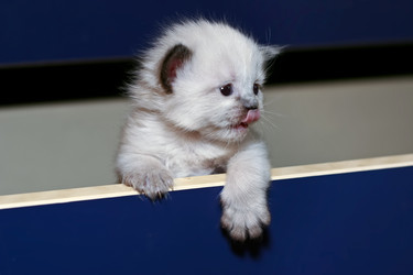 Similar image 382578