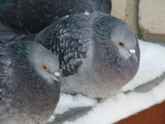 Similar image 382638