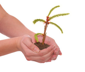 Similar image 382687