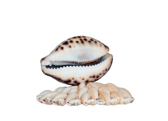 Similar image 382700