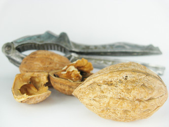 Similar image 382718