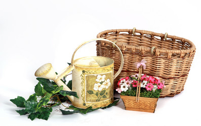 Similar image 382731