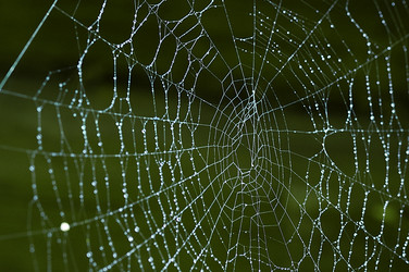 Similar image 382758