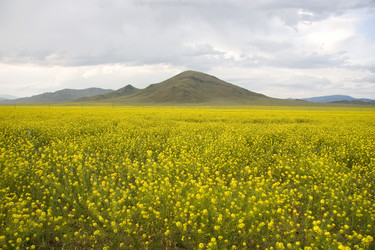 Similar image 382770