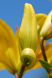 Similar image 382887