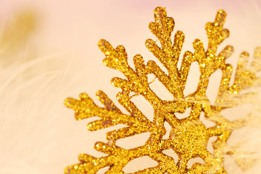 Similar image 382913