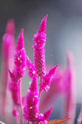 Similar image 382916