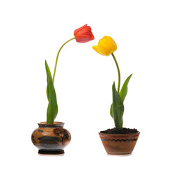 Similar image 382919